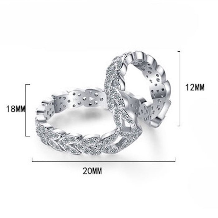 Double Hoops Dazzling Earplug - One Piece