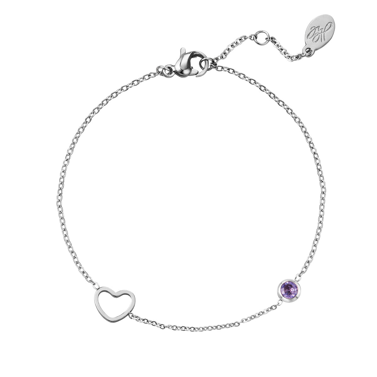 Armband | Geboortesteen Februari Goud/Zilver