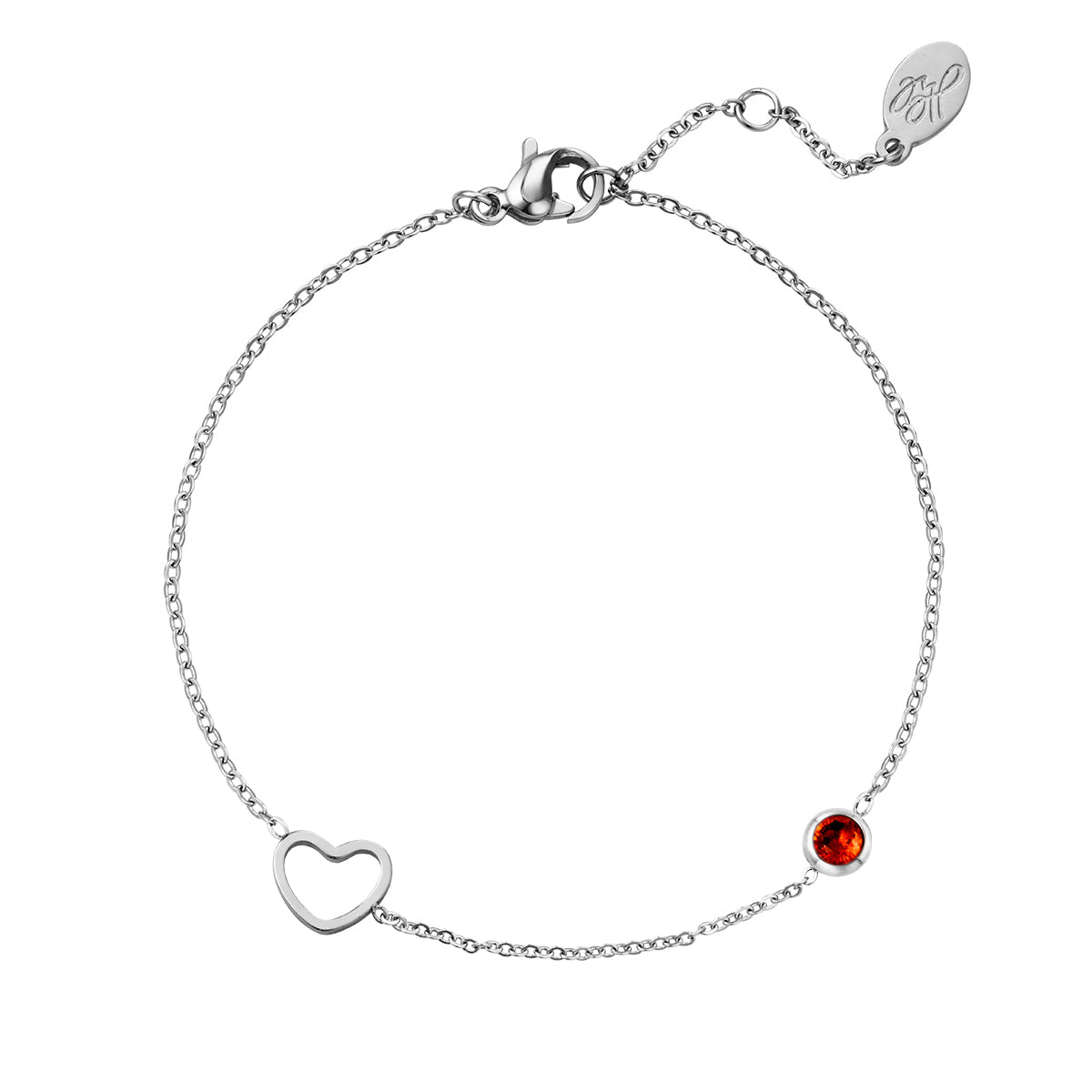 Armband | Geboortesteen Januari Goud/Zilver